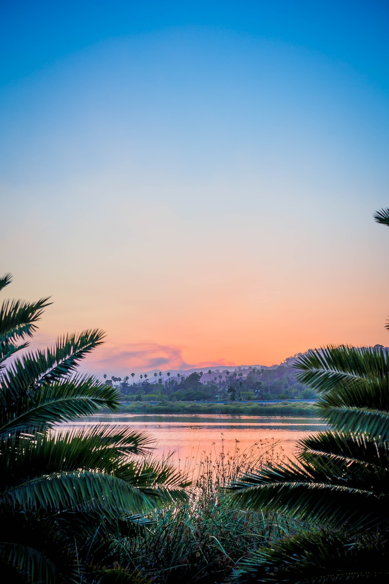Resorts em Florestas Tropicais: