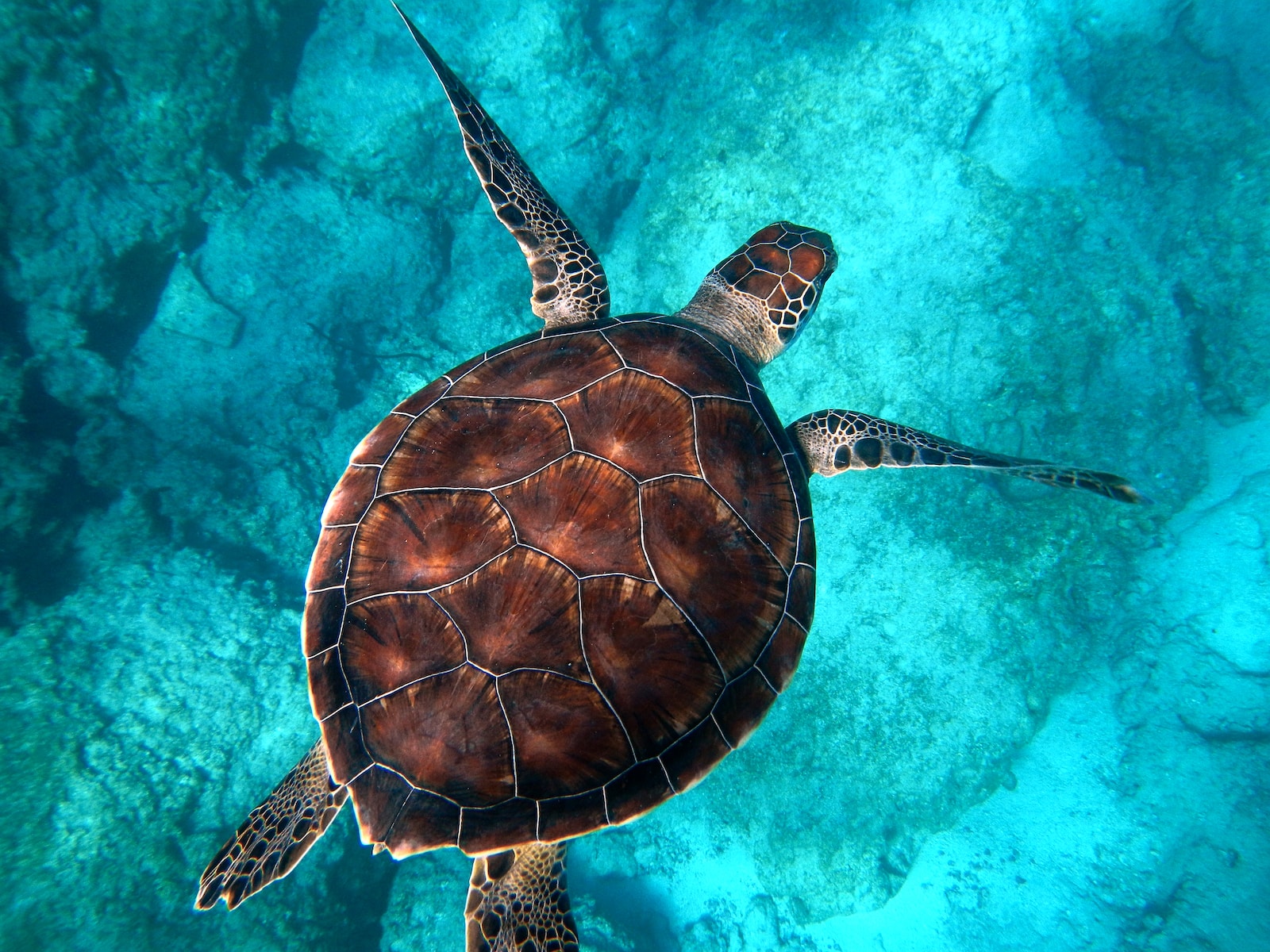 fernando de noronha