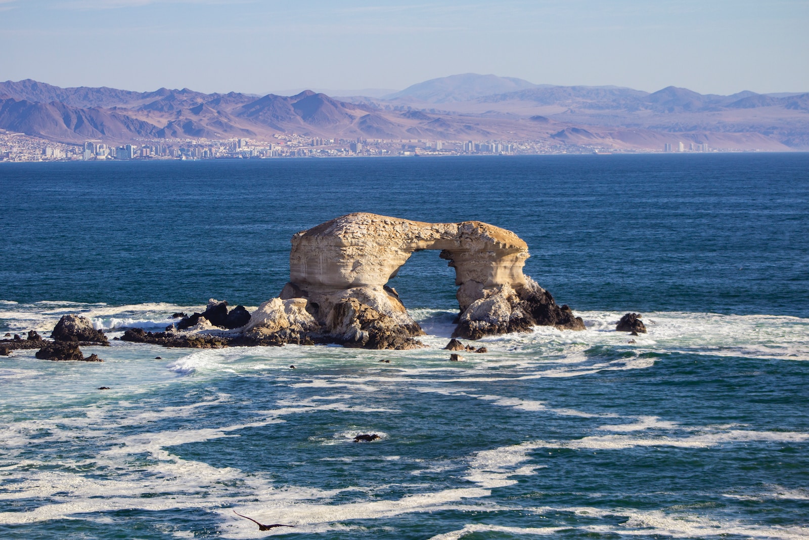 o que fazer en Antofagasta