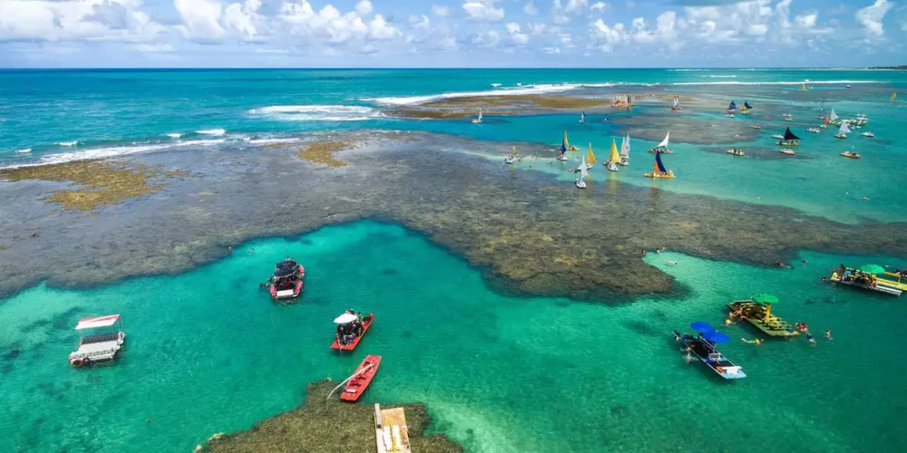 pacoteporto de galinhas